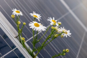 4 beneficios importantes de la energía solar para el medio ambiente y nuestra salud